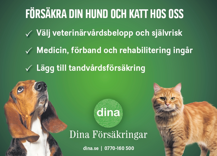 Dina Försäkringar