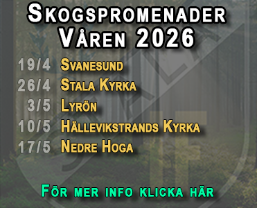 Skogspromenader