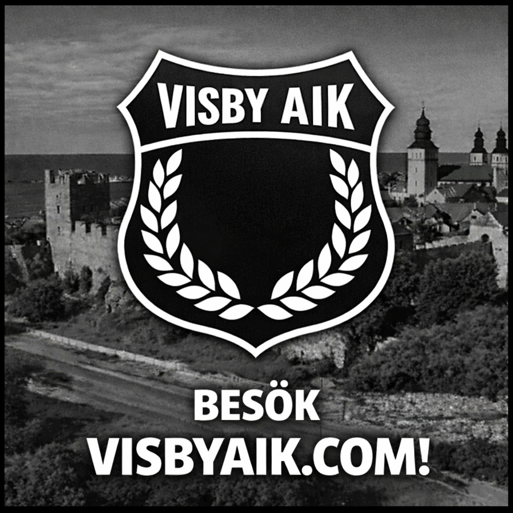visbyaik.com