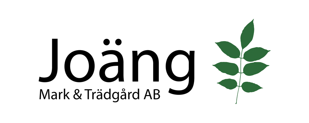 Joäng