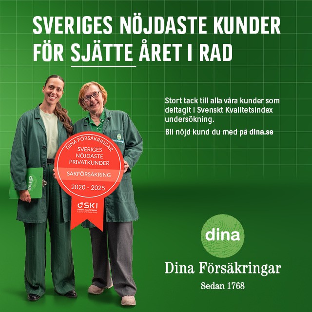 Dina Banner