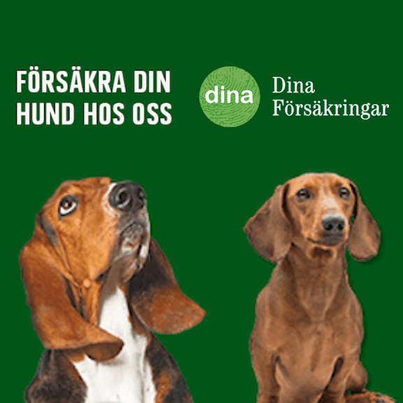 Dina Försäkringar
