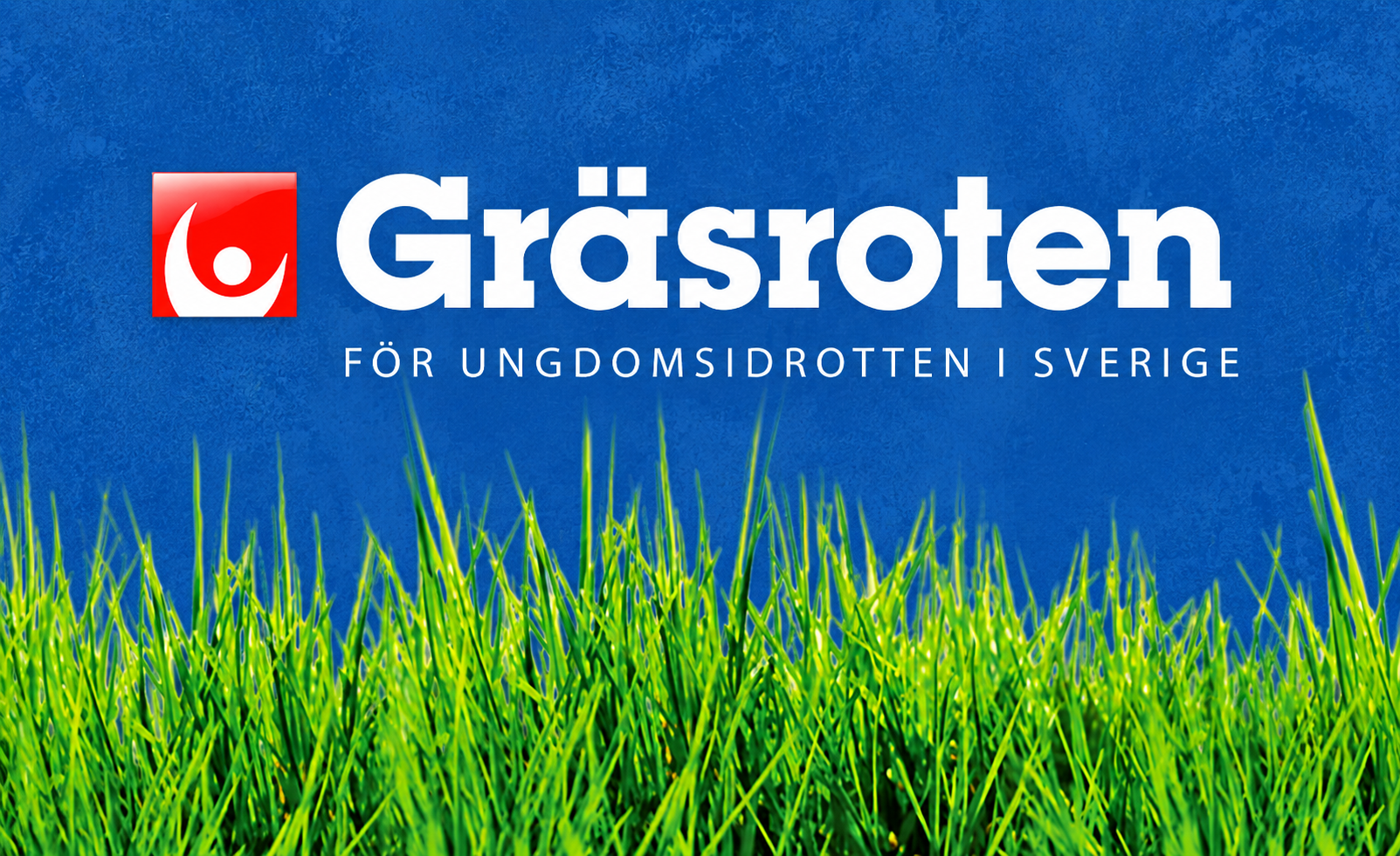 Gräsroten