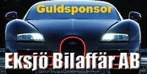 Guldsponsor Bil