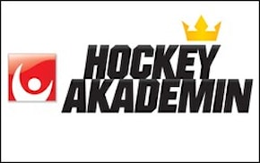 Akademien