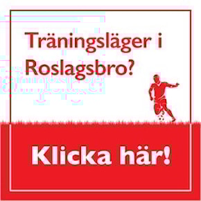 Träningsläger