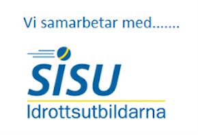 Sisu 