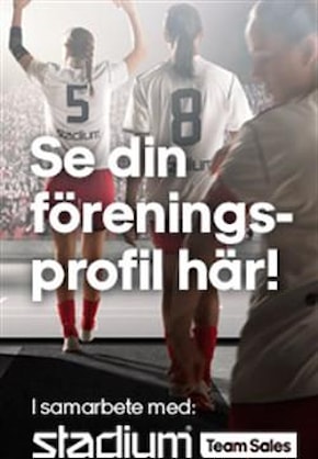Profilguide