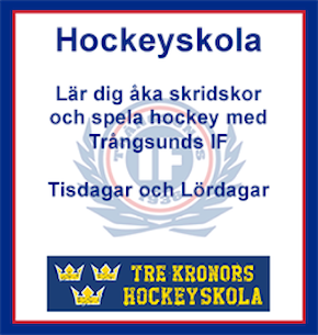 Hockeyskolan