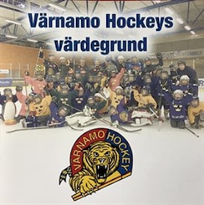Värnamo Hockeys värdegrund