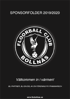 Sponsring