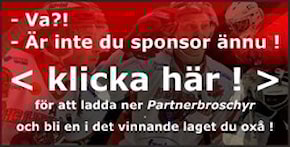 Sponsor-Partner