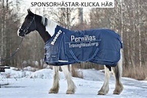 Sponsorhästar bilder