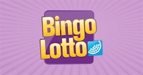 Bingolotto 