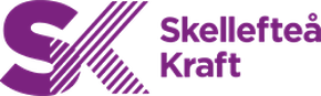 Skekraft