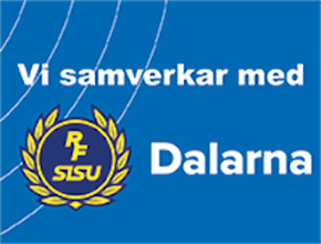 Sisu