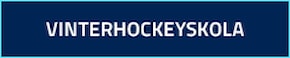 Vinterhockeyskola