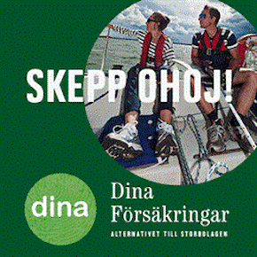 Dina försäkringar