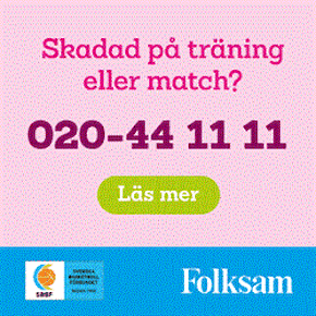 Folksam basket