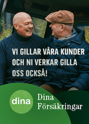 Dina Banner