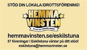 Hemmavinsten