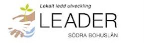 Leader södra bohuslän