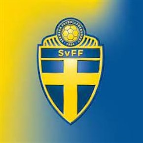 Svensk fotboll